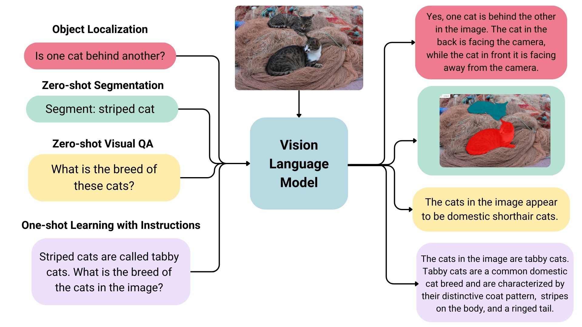 VLM uses