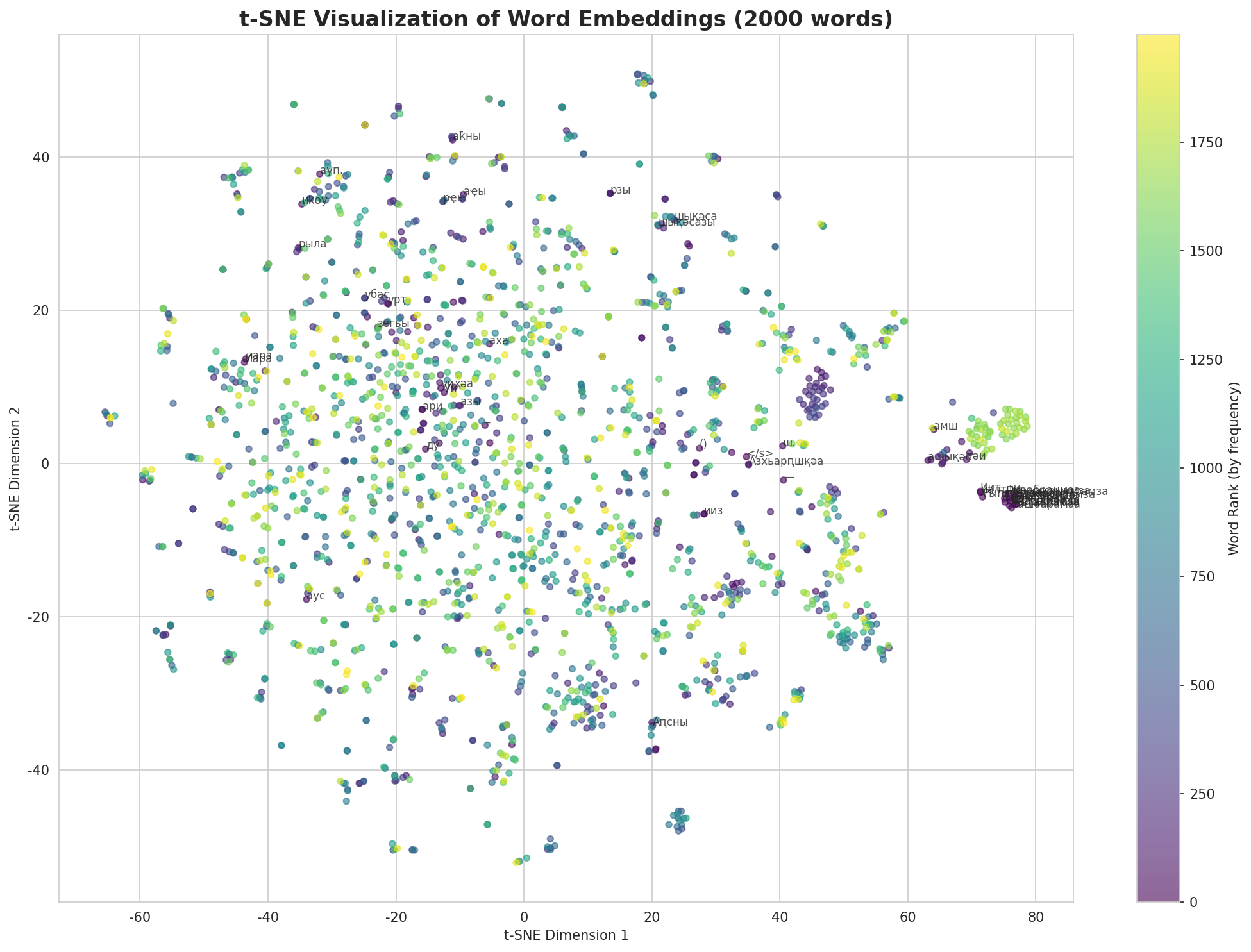 t-SNE Words